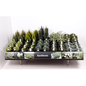 Tafelconcept Exclusief assortiment C3 (mix kan afwijken van foto)