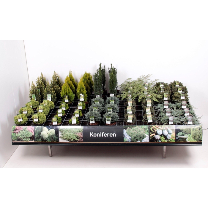 <h4>Tafelconcept Exclusief assortiment C3 (mix kan afwijken van foto)</h4>