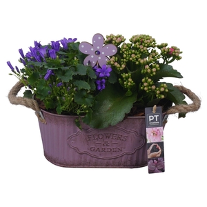 Arr.   Tuinplanten L%