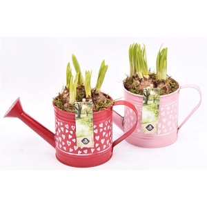 Zink gieter hart decor 24x10cm