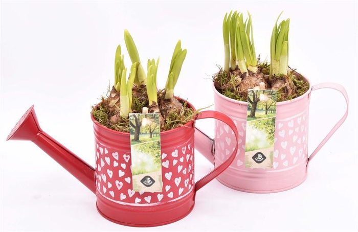 <h4>Zink gieter hart decor 24x10cm</h4>