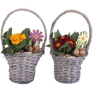 Early Spring Arr. Outdoor Willow Handle Basket Ø18cm 2PP