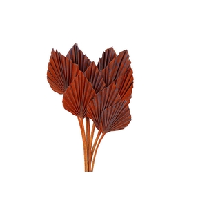 Dried Artz Palm Spear 10pc Mondriaan Bunch
