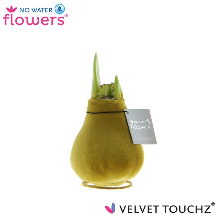 <h4>No Water Flowers Velvet Touchz® Gold</h4>