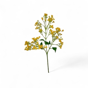 AF Limonium spray L74cm or/ye