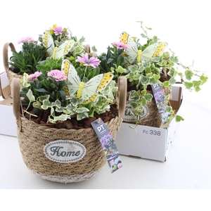 ARR TUINPLANTEN