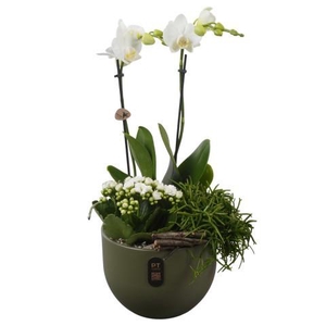 PTIB5147 Arrangement Indoor in keramiek pot