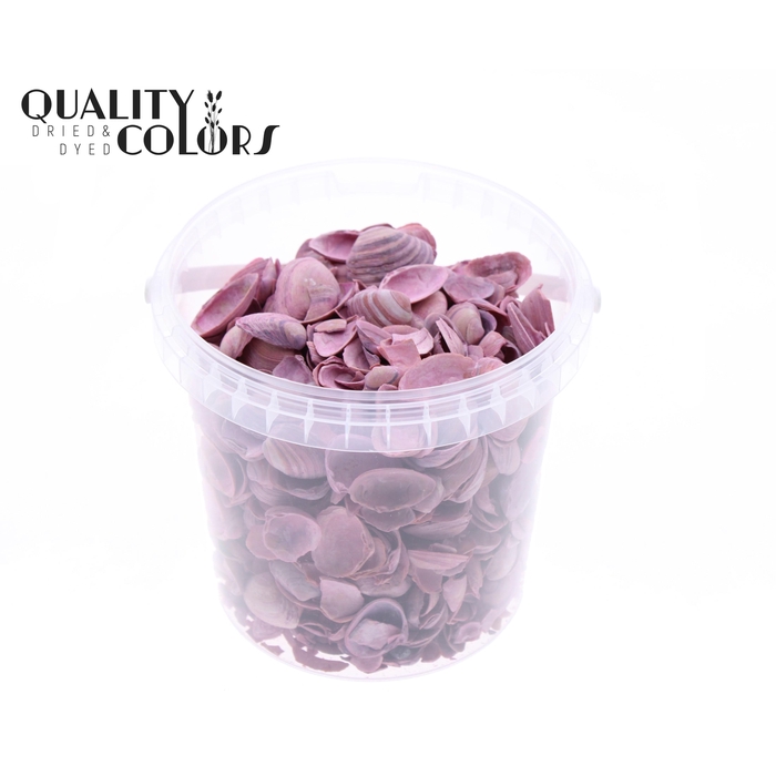 <h4>Shells north sea 1 ltr Frosted Pink</h4>