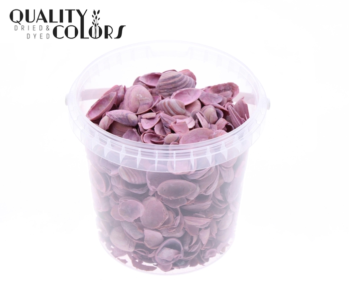 Shells north sea 1 ltr Frosted Pink