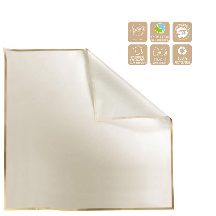 Folie Vel 70*70cm Cachotier Clayrton