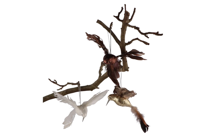 <h4>Deco Shine Bird Humming Natural 23cm Ass P/1</h4>