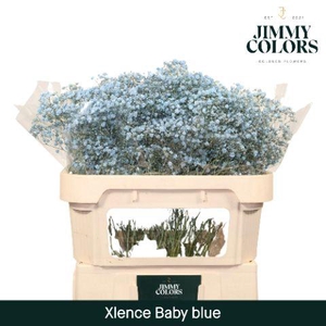 Gyps Xlence l70 Light blue