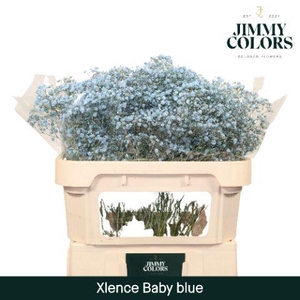 Gyps Xlence l70 Light blue