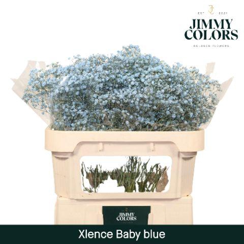 <h4>Gyps Xlence L70 Light Blue</h4>