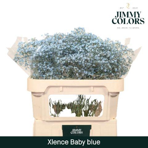 <h4>Gyps Xlence l70 Light blue</h4>