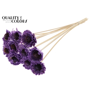 Shola Daisy Sunflower 6cm on stem Wax Milka