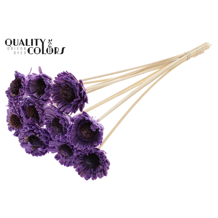 <h4>Shola Daisy Sunflower 6cm on stem Wax Milka</h4>