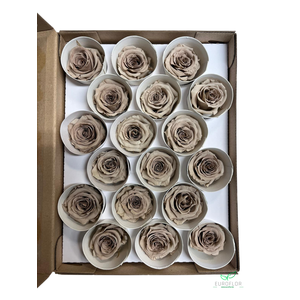 PRESERVED ROSES XS CHO-89