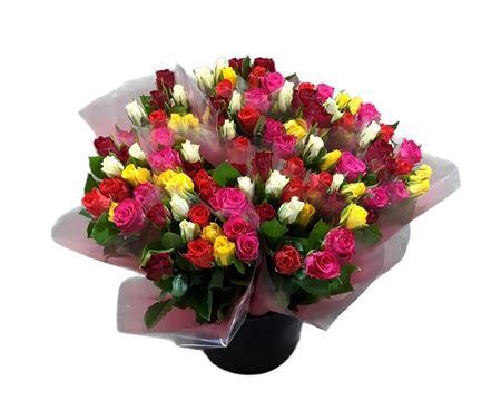<h4>R Gr Rainbow Mix</h4>