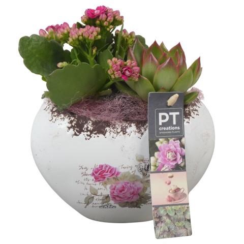 <h4>PTVMB2269 Arrangement Valentines-Mothersday in keramiek sierpot</h4>