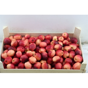 Sier Appels Red Ex 5kg P Wdn Box