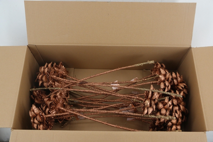 <h4>Stick Dahlia Sweet Copper</h4>