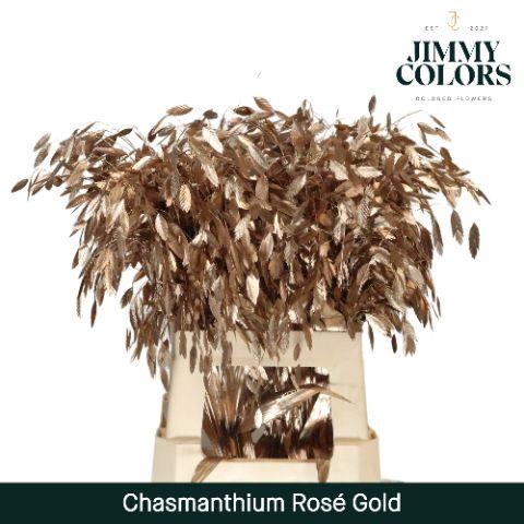 <h4>Chasmanthium L70 Metallic Rose Gold</h4>