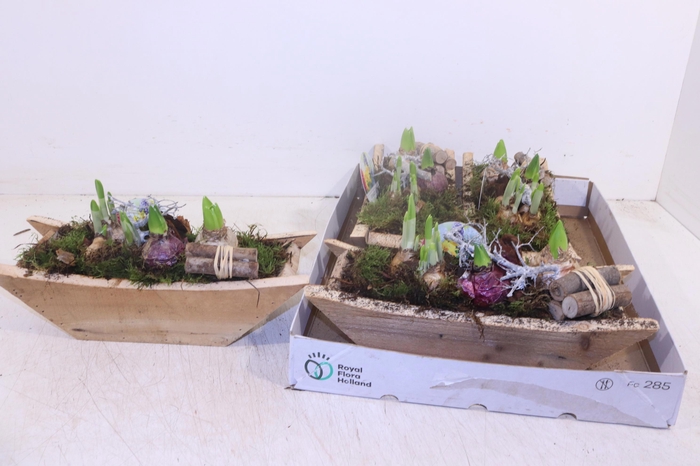 <h4>ARR BOL KNOLGEWAS</h4>