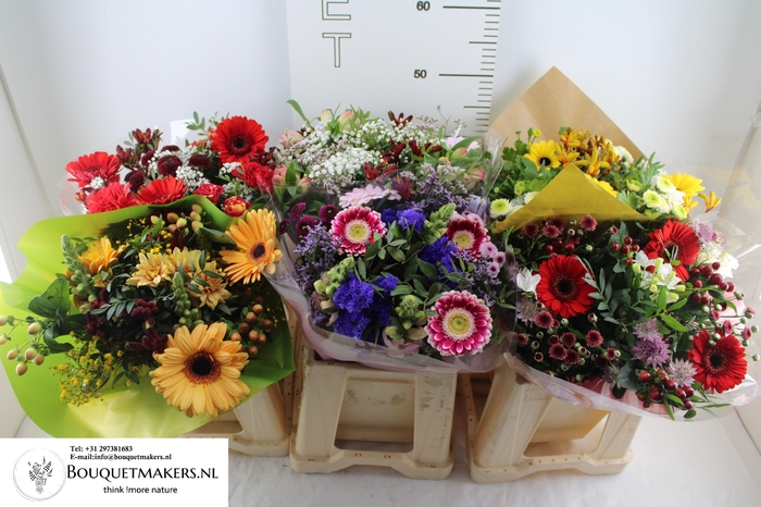 <h4>GEM BOEKET OV</h4>