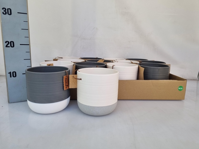 <h4>HUIS EN TUINDECO H%</h4>