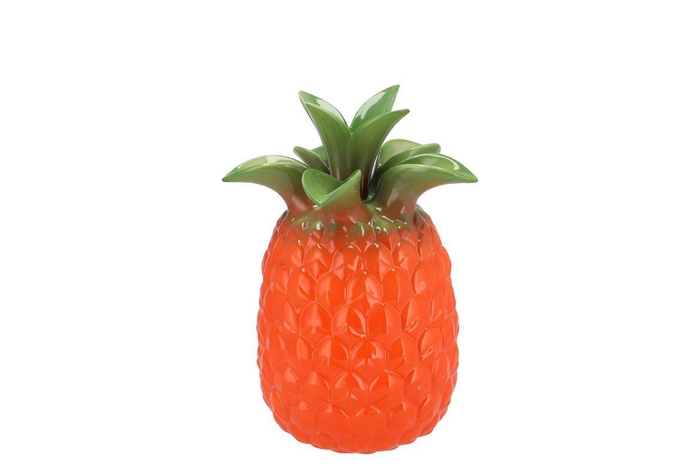Pineapple Tropical Orange Vase 16x16x22cm Nm