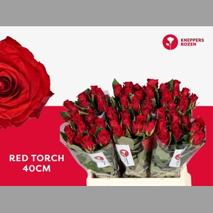 R GR RED TORCH
