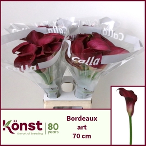 ZANT BORDEAUX ART
