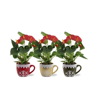 Anthurium Diamond Red in Nickie ceramics