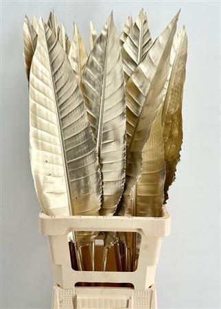 <h4>Strelitzia Blad Painted Platinum</h4>