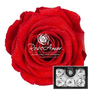 Xl Diamond Dust Red02
