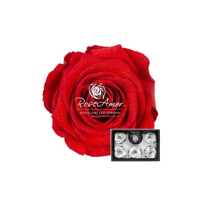 <h4>Xl Diamond Dust Red02</h4>