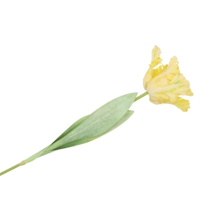 Silk Tulip Papagayo Yellow 64cm