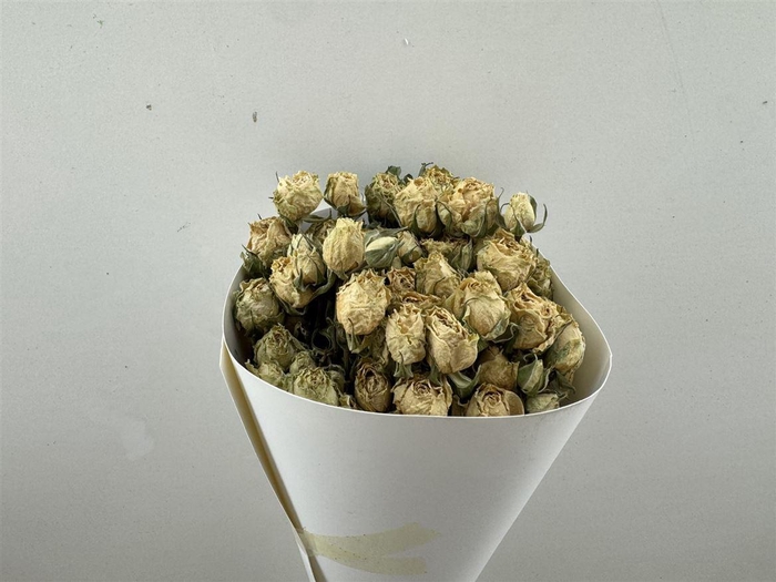 Dried Roses Spray White 100gr Bunch