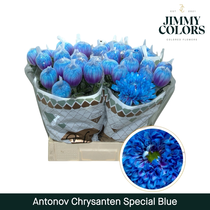 <h4>Chr G Antonov Special Blue</h4>