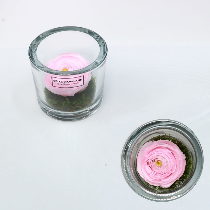 Cilinder d9x8h ranunculus pin-89 glas