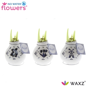 arr4 Amaryllis VH - Craftz Delfts blauw