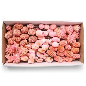 Lcd Assorti Pastel Light Pink On 10cm Wire