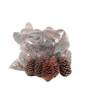 Maritima's Middel 10-14cm