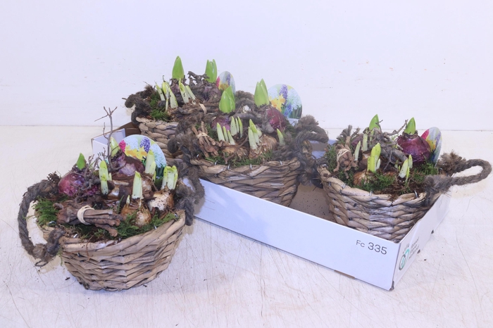 <h4>ARR BOL KNOLGEWAS</h4>