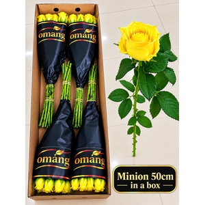 R GR MINION ROSE