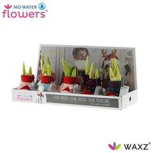 Hipp Waxz Fashionz Silly Mix