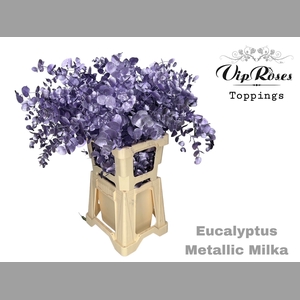 EUCA CINEREA METALLIC MILKA 300GR