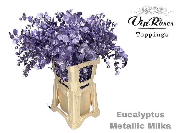 EUCA CINEREA METALLIC MILKA 300GR