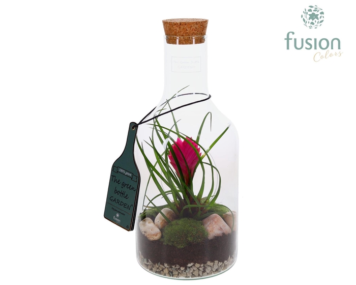 <h4>Green Bottle Fles Small met Tillandsia</h4>